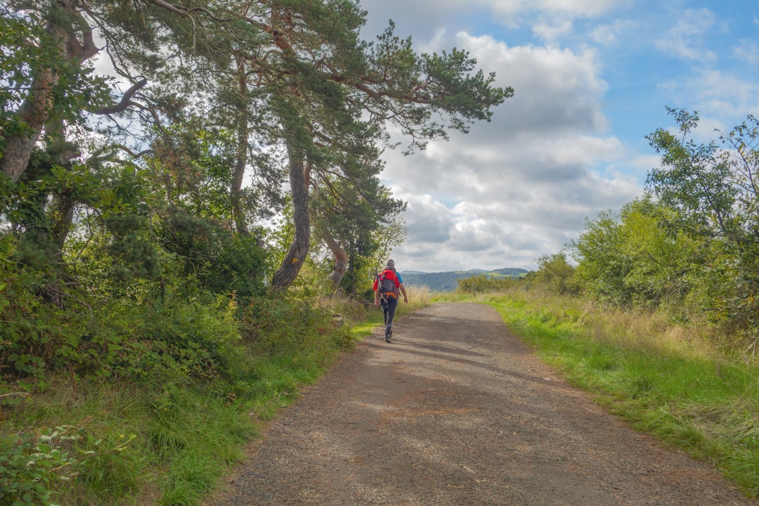 Pałac w Brodnicy – tajemnice podziemi i średniowieczne freski