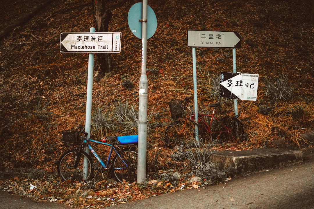 Mapa Rzucewa – trasy piesze i rowerowe łączące zamek z atrakcjami regionu